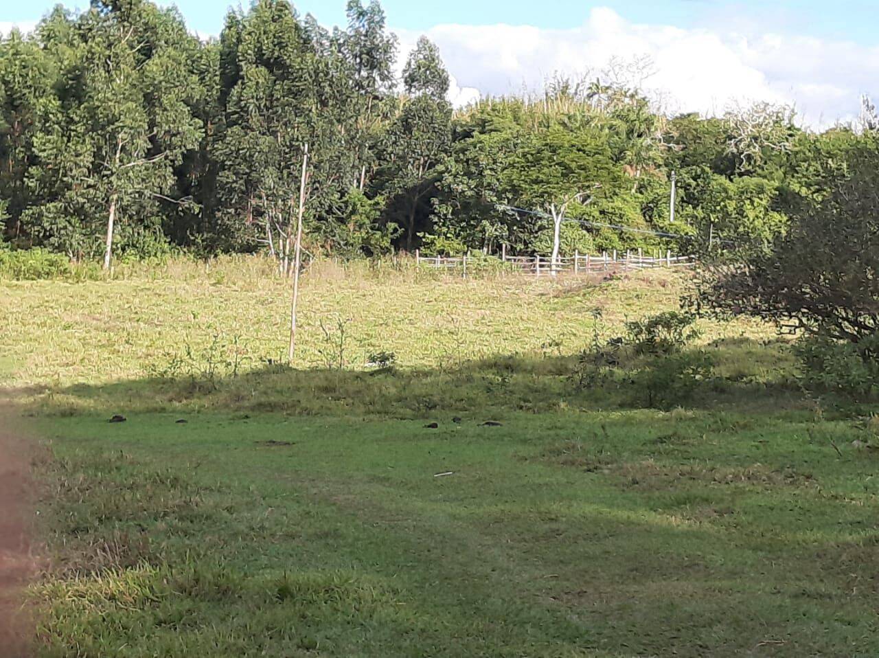 Sítio, 4 quartos, 12 hectares - Foto 4