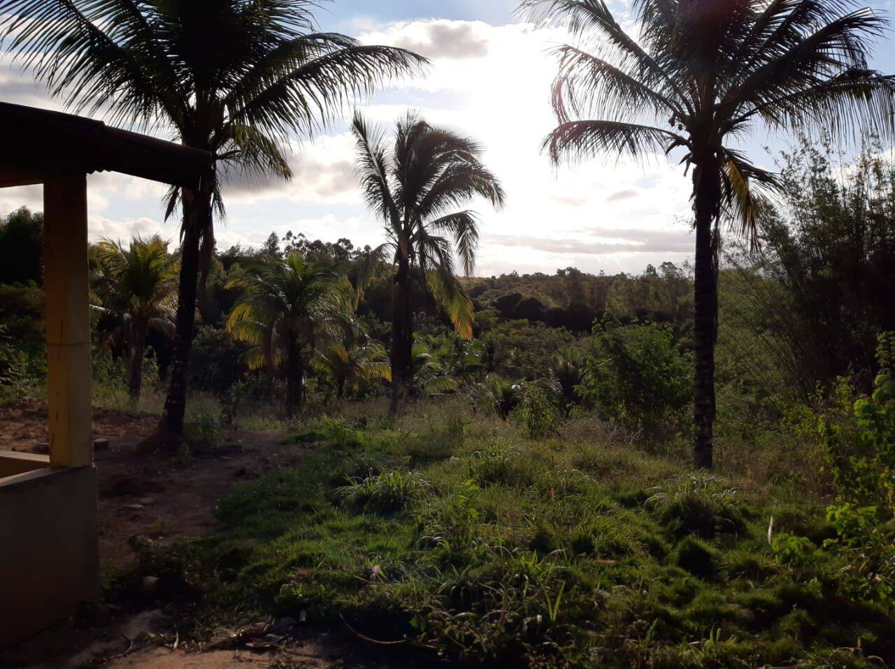 Sítio, 4 quartos, 12 hectares - Foto 9