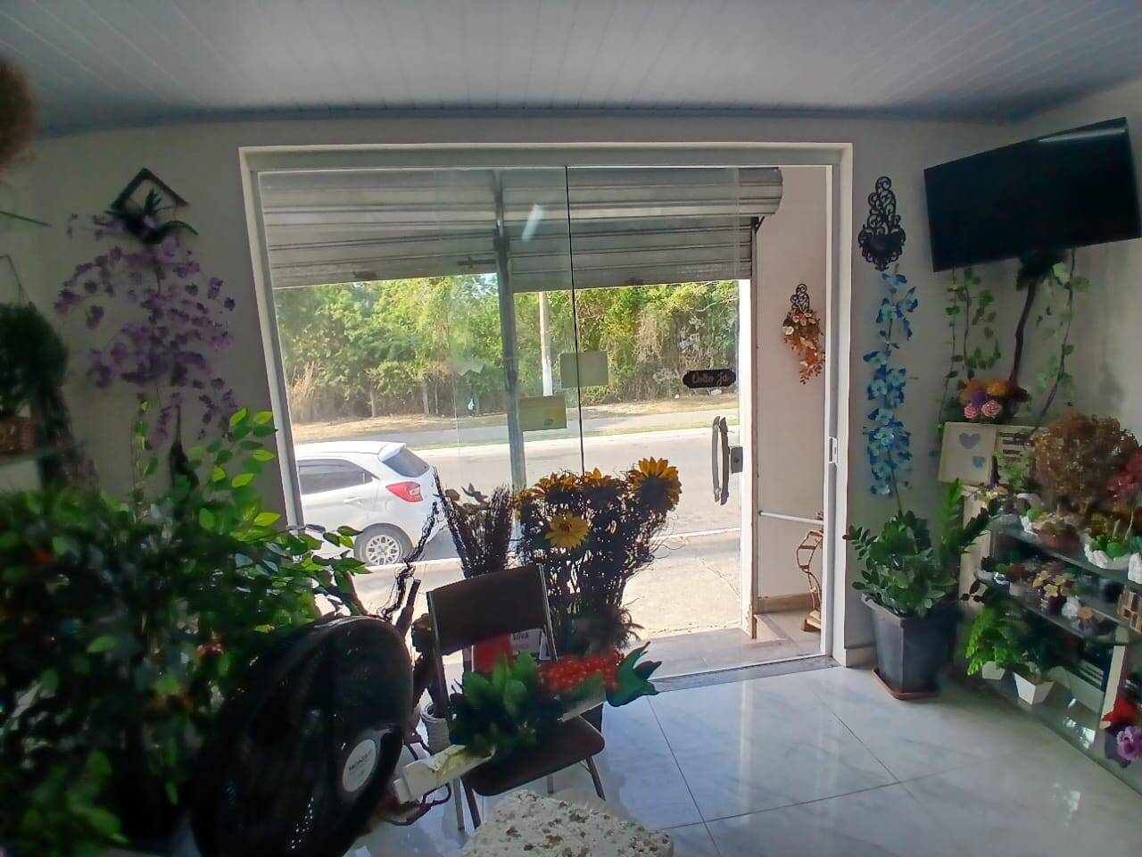 Loja-Salão, 16 m² - Foto 3