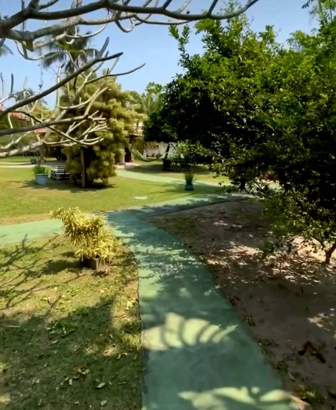 Prédio Inteiro - Foto 4