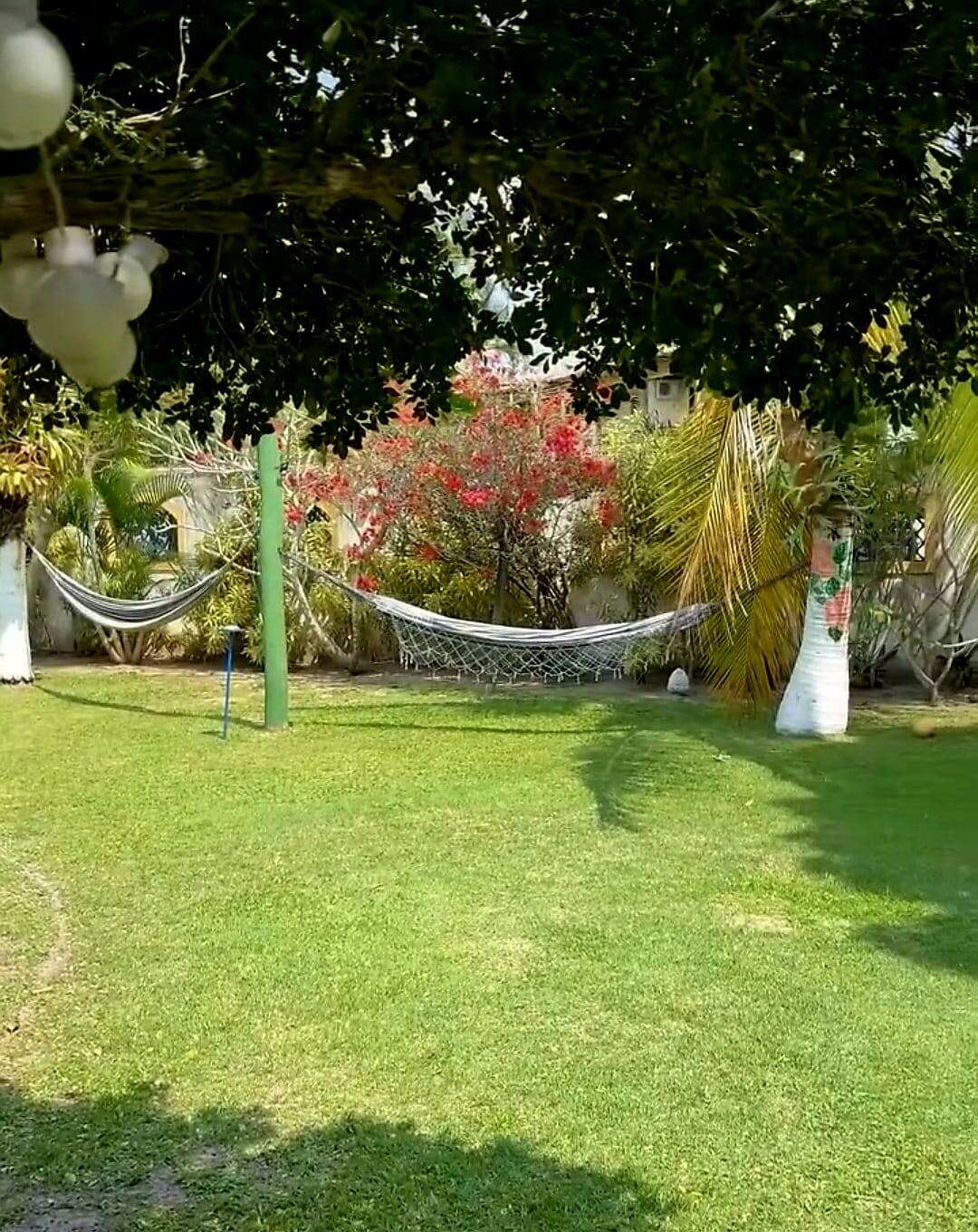 Prédio Inteiro - Foto 16