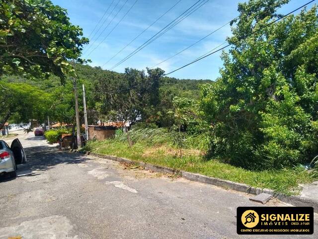 #200 - Terreno para Venda em Cabo Frio - RJ - 2