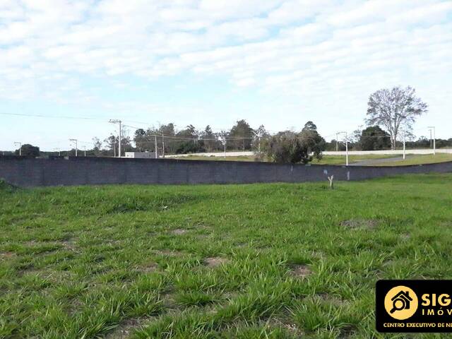 Área para Venda em São Pedro da Aldeia - 4
