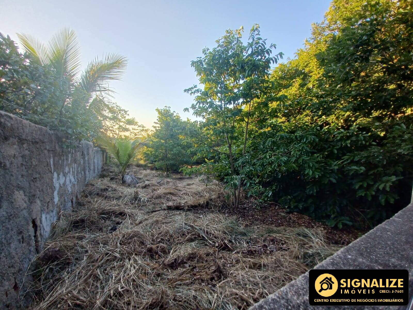 Terreno à venda, 360m² - Foto 4