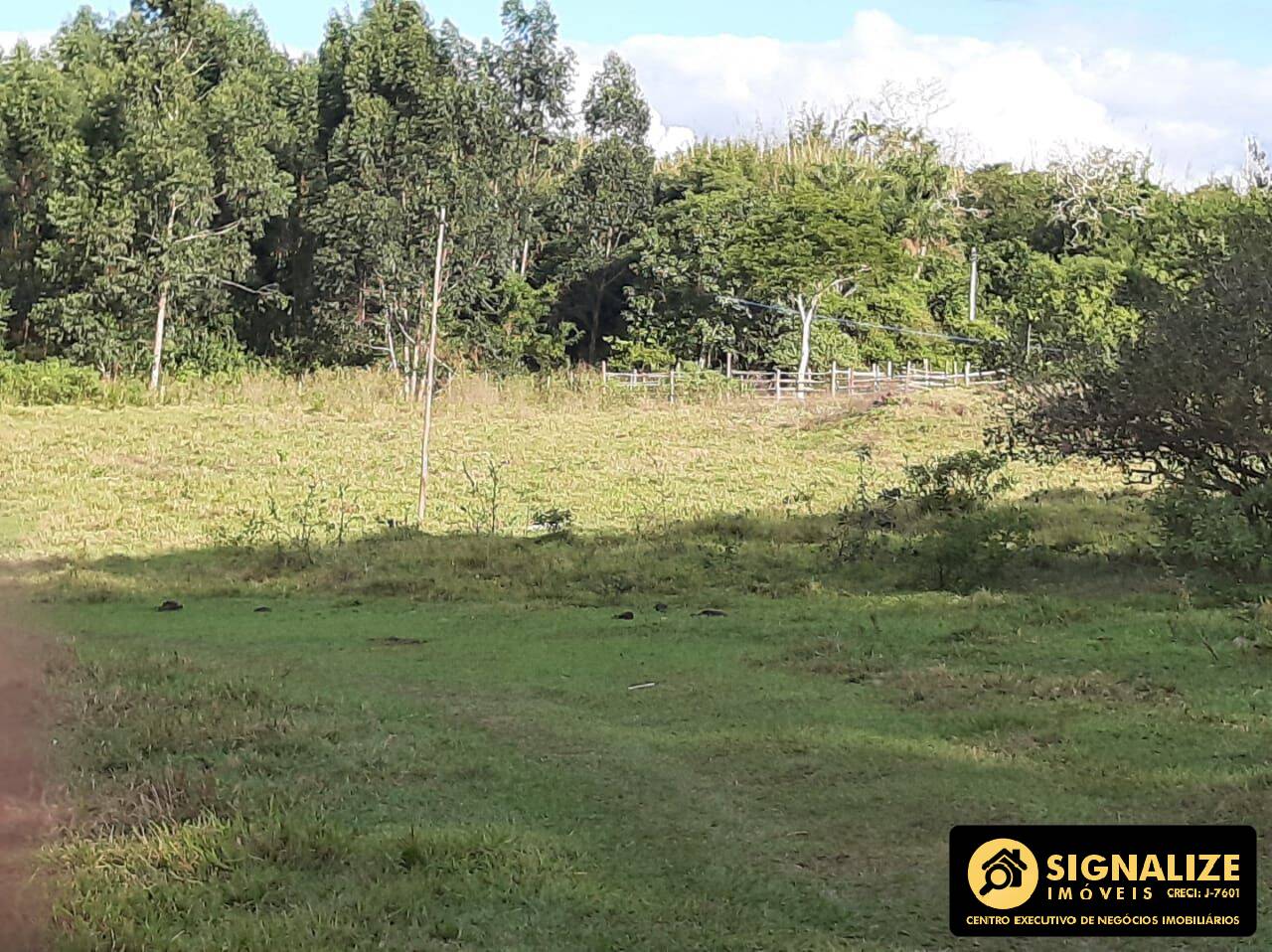 Sítio à venda com 4 quartos, 120000m² - Foto 3