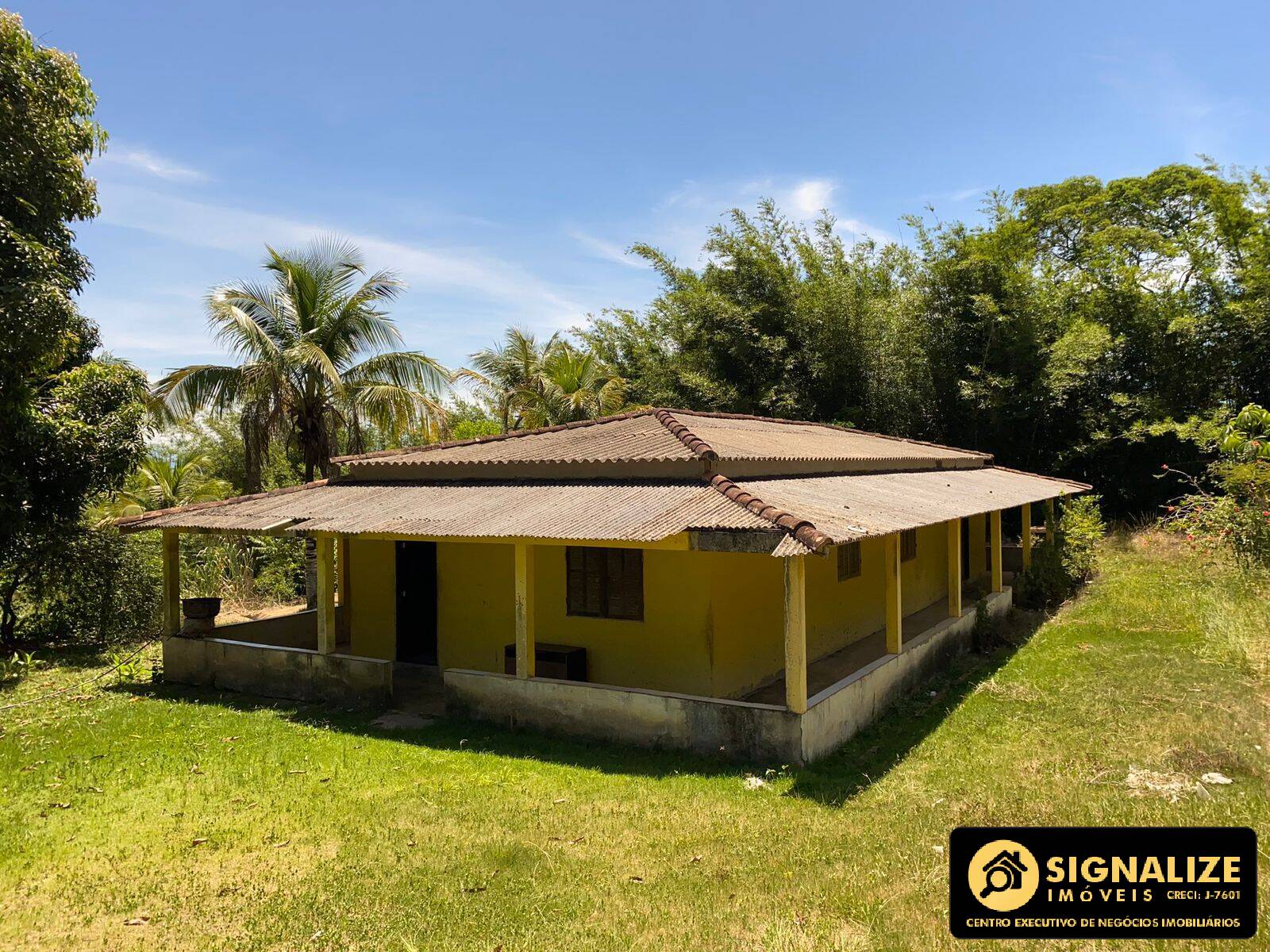 Sítio à venda com 4 quartos, 120000m² - Foto 1