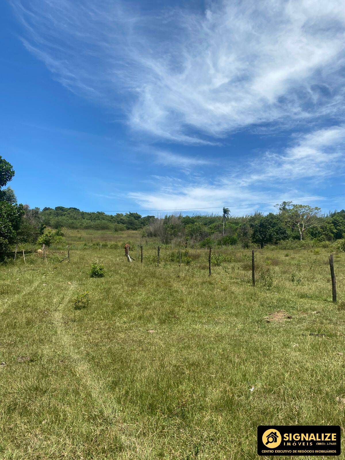 Sítio à venda com 4 quartos, 120000m² - Foto 15