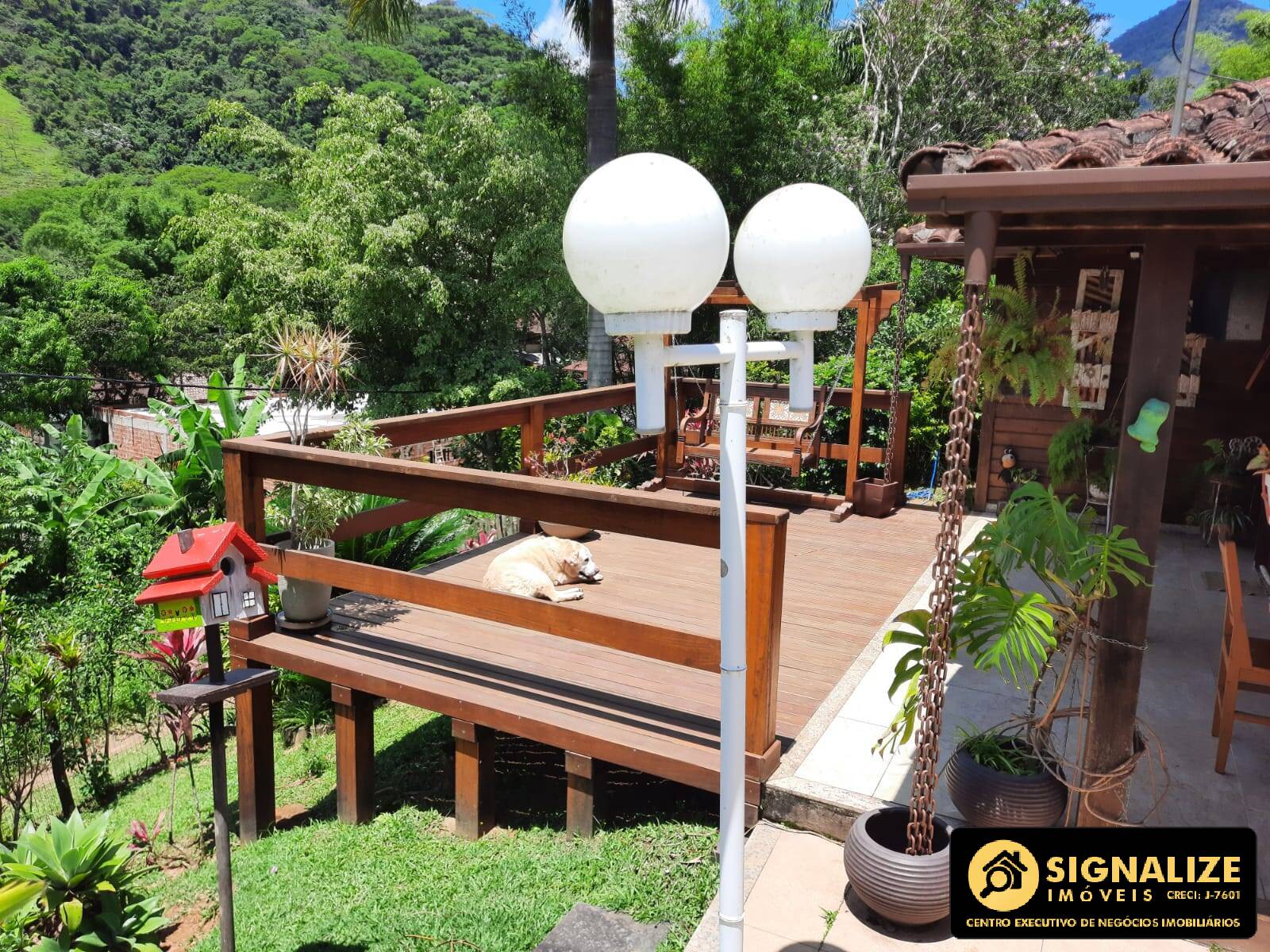 Chácara, 3 quartos, 908 m² - Foto 18