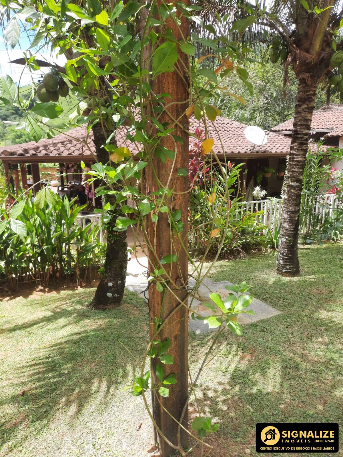 Chácara, 3 quartos, 908 m² - Foto 20